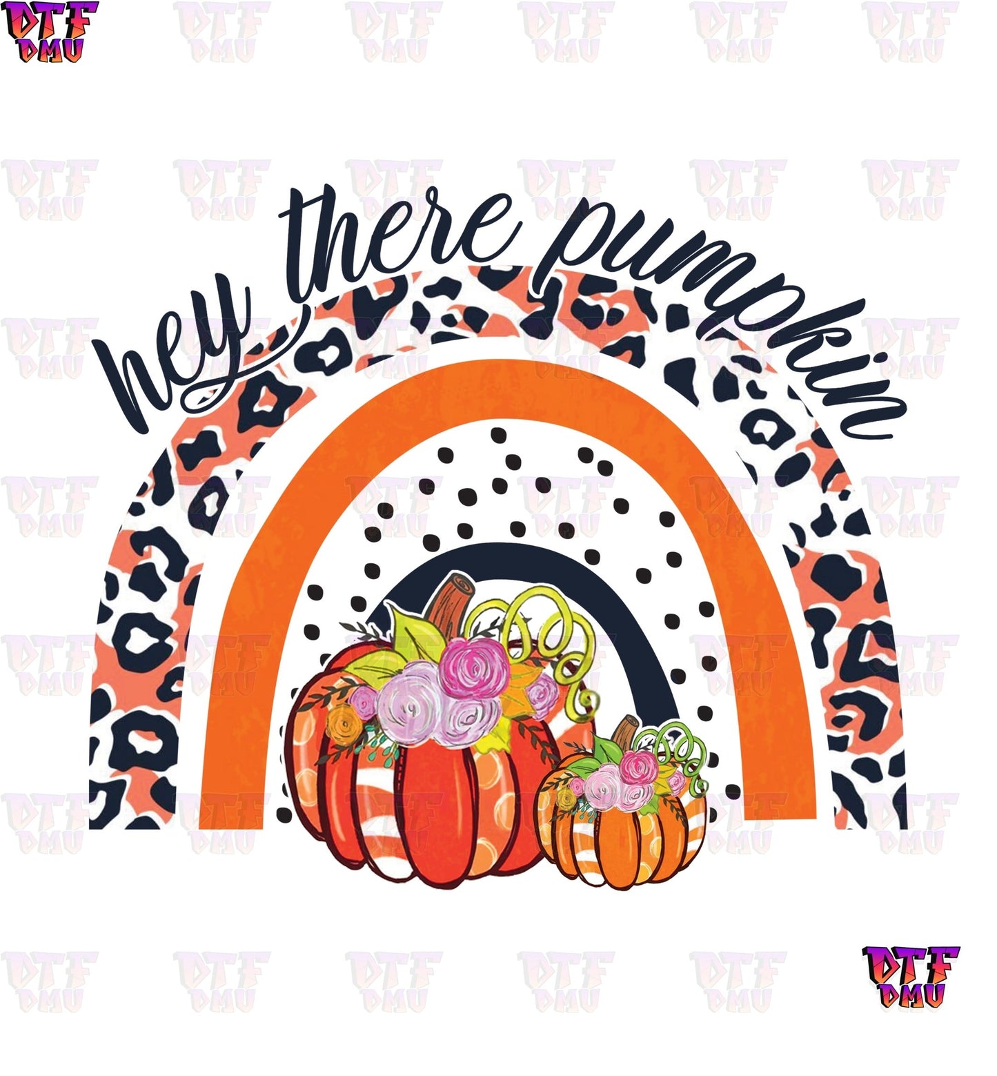 Hey There Pumpkin Rainbow (DTF Ready to Apply Transfer Print)